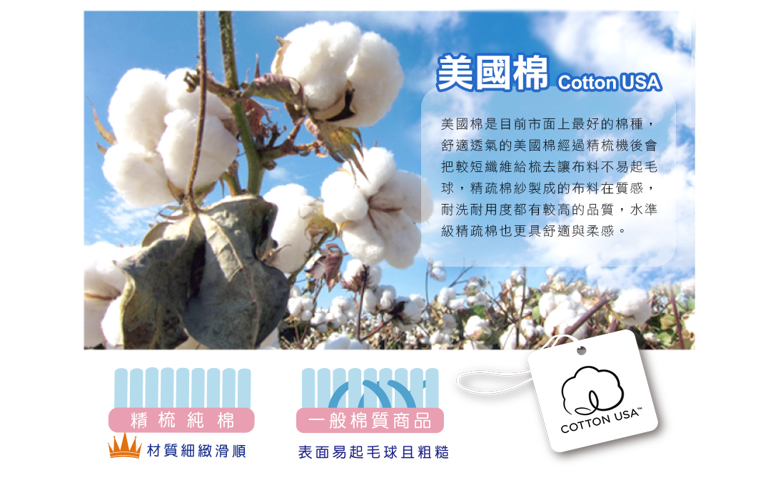 鴻宇 HongYew - 防螨抗菌100%美國棉幼童護頸型天然乳膠枕-交通樂園-1778