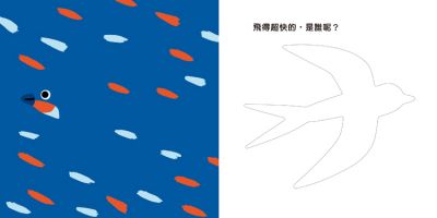 鳥兒鳥兒捉迷藏