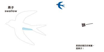 鳥兒鳥兒捉迷藏