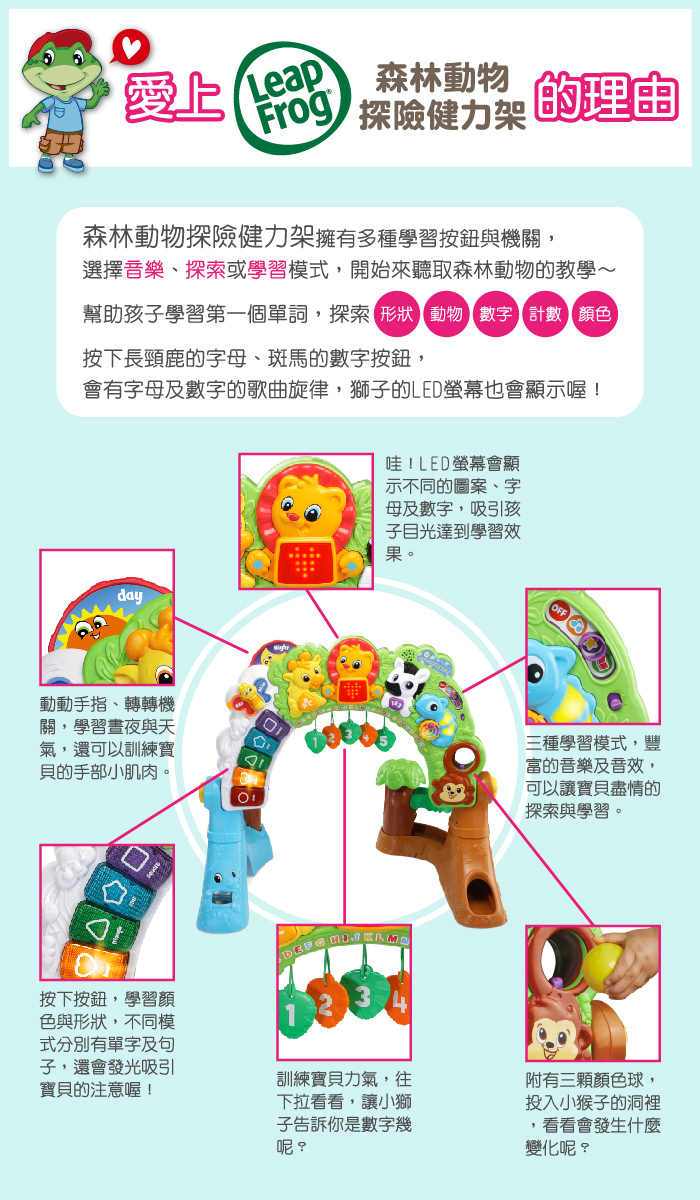 LeapFrog美國跳跳蛙 - 森林動物探險健力架