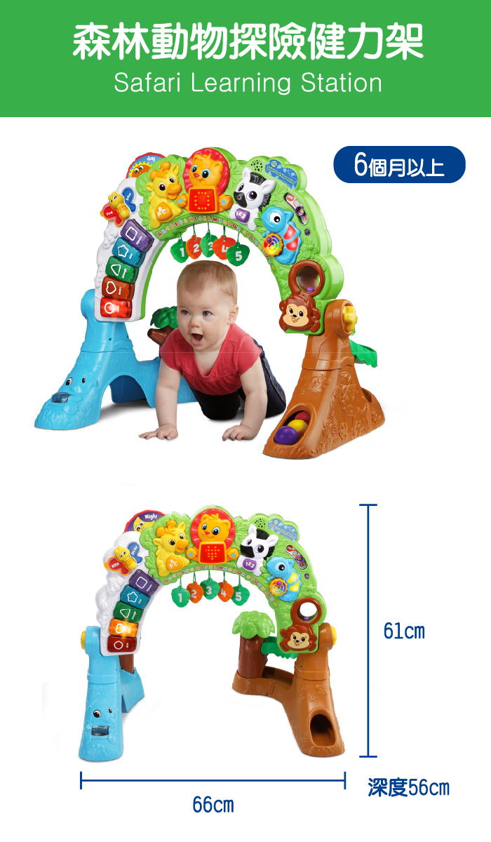LeapFrog美國跳跳蛙 - 森林動物探險健力架