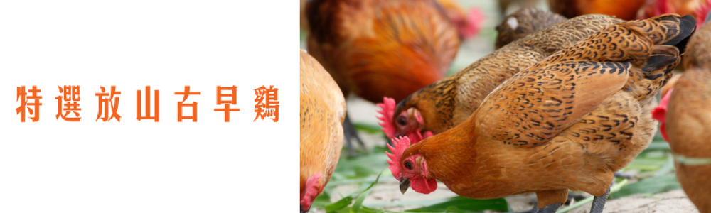 GREEN & SAFE 永豐餘生技 - 麻油放山雞(湯底)-1000g/入