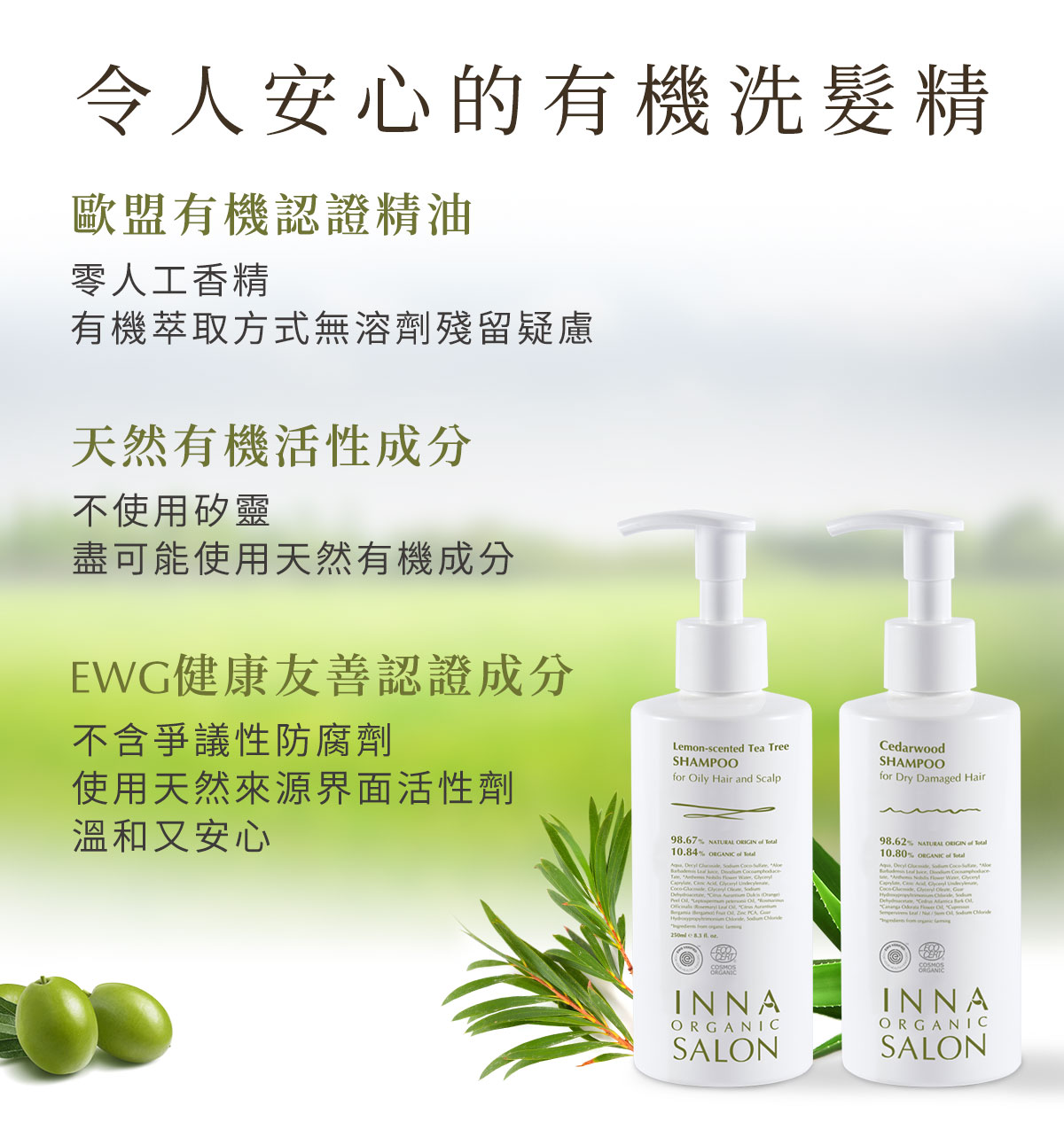 童顏有機Inna Organic - 檸檬茶樹平衡控油洗髮精-250ml