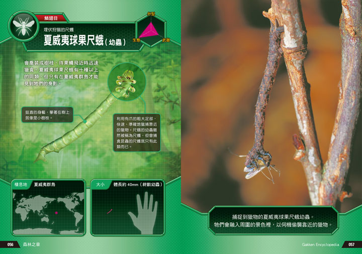 幼福文化 - 3本合購-驚奇昆蟲大百科＋深海生物大百科＋危險生物大百科