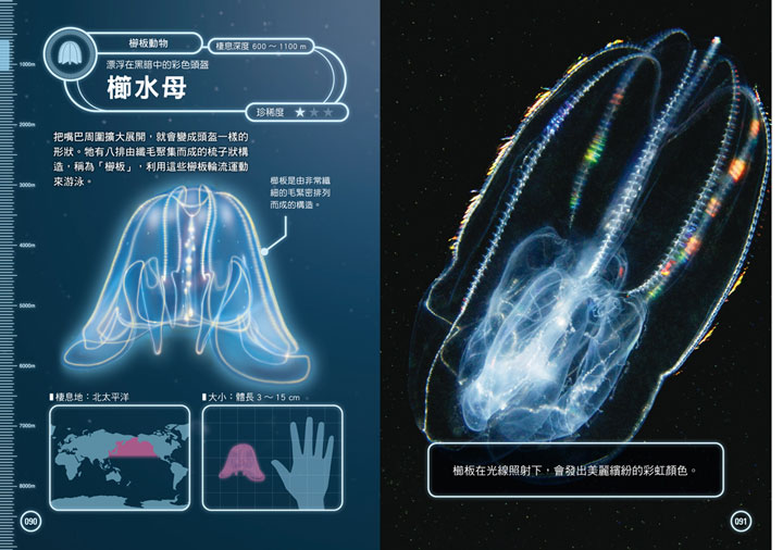 幼福文化 - 3本合購-驚奇昆蟲大百科＋深海生物大百科＋危險生物大百科