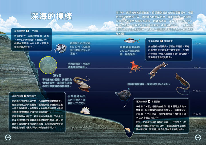 幼福文化 - 3本合購-驚奇昆蟲大百科＋深海生物大百科＋危險生物大百科