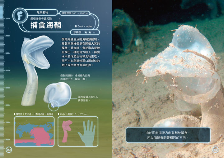 幼福文化 - 3本合購-驚奇昆蟲大百科＋深海生物大百科＋危險生物大百科