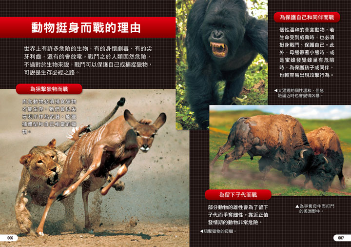 幼福文化 - 3本合購-驚奇昆蟲大百科＋深海生物大百科＋危險生物大百科