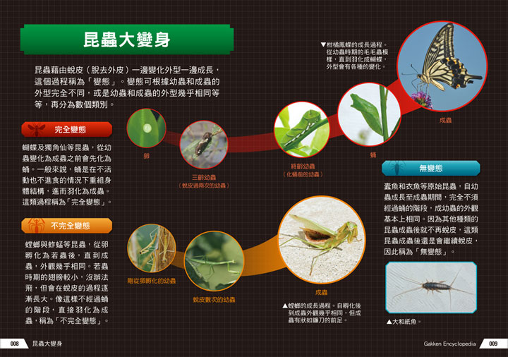 幼福文化 - 3本合購-驚奇昆蟲大百科＋深海生物大百科＋危險生物大百科
