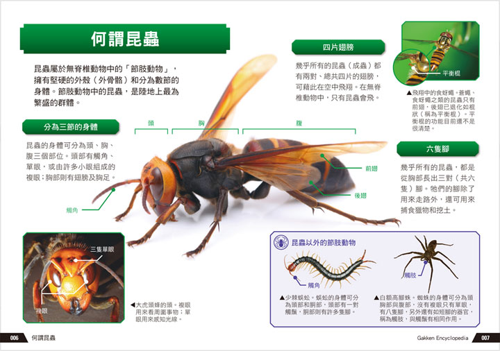 幼福文化 - 3本合購-驚奇昆蟲大百科＋深海生物大百科＋危險生物大百科
