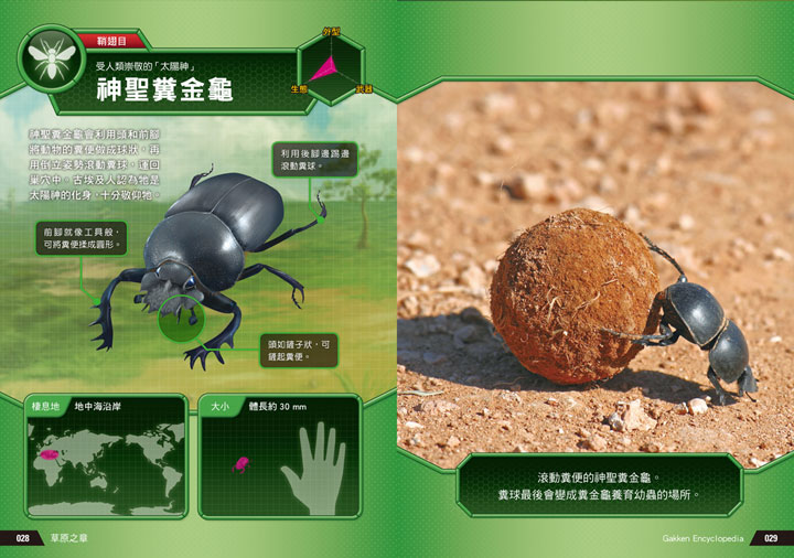 幼福文化 - 3本合購-驚奇昆蟲大百科＋深海生物大百科＋危險生物大百科