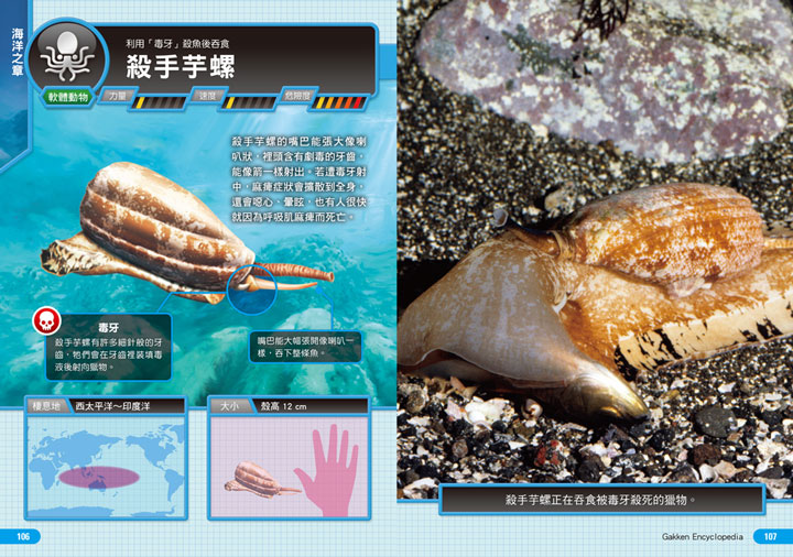 幼福文化 - 3本合購-驚奇昆蟲大百科＋深海生物大百科＋危險生物大百科