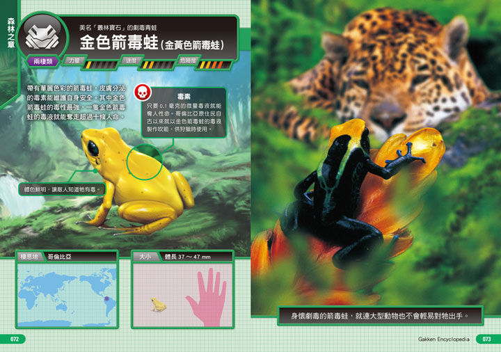 幼福文化 - 3本合購-驚奇昆蟲大百科＋深海生物大百科＋危險生物大百科