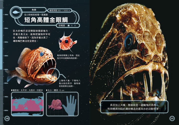 幼福文化 - 3本合購-驚奇昆蟲大百科＋深海生物大百科＋危險生物大百科