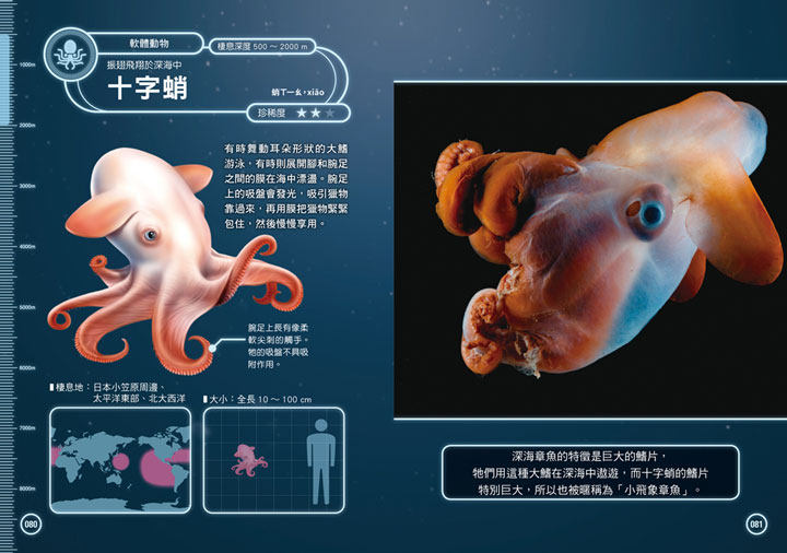 幼福文化 - 3本合購-驚奇昆蟲大百科＋深海生物大百科＋危險生物大百科