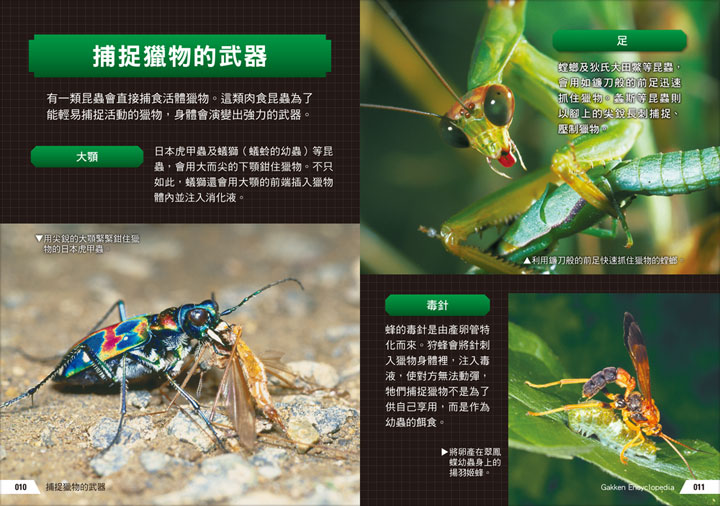 幼福文化 - 3本合購-驚奇昆蟲大百科＋深海生物大百科＋危險生物大百科