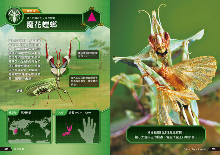 幼福文化 - 3本合購-驚奇昆蟲大百科＋深海生物大百科＋危險生物大百科