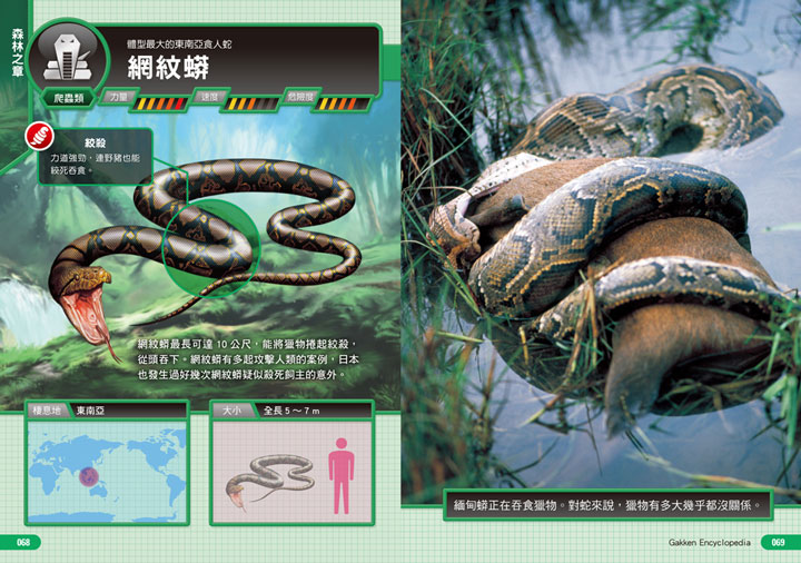 幼福文化 - 3本合購-驚奇昆蟲大百科＋深海生物大百科＋危險生物大百科
