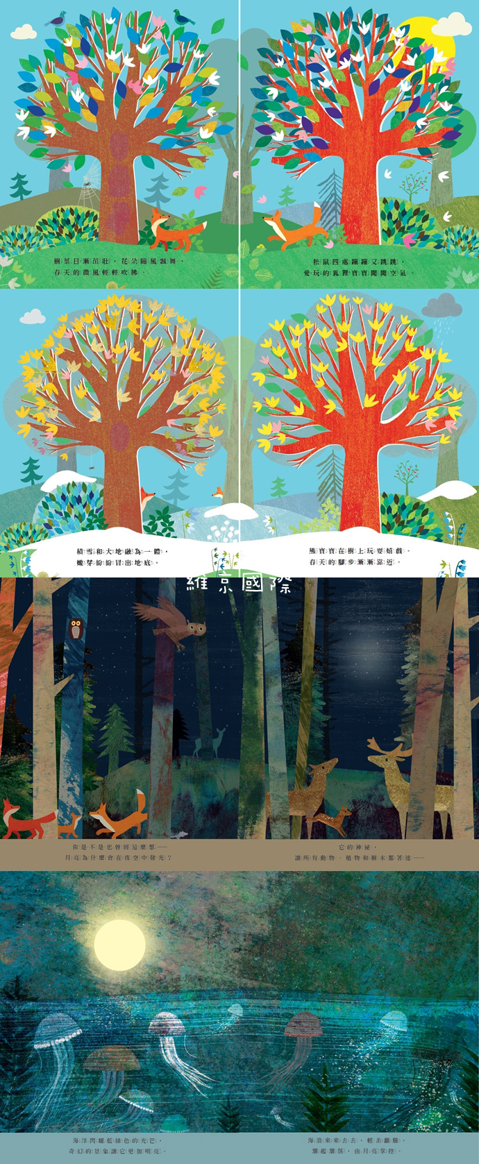 最美的大自然禮物繪本組(2冊)-精裝