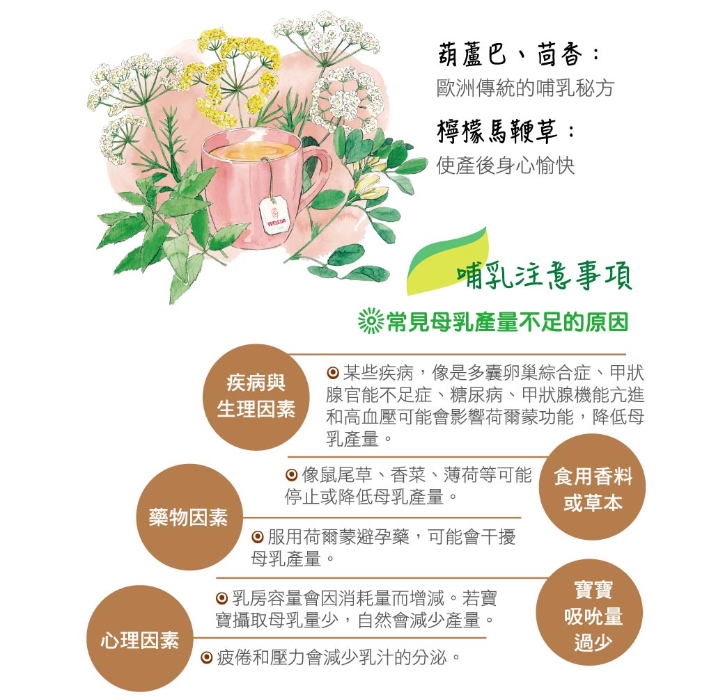 WELEDA 薇蕾德 - 葫蘆巴媽媽茶2g/20包-3盒