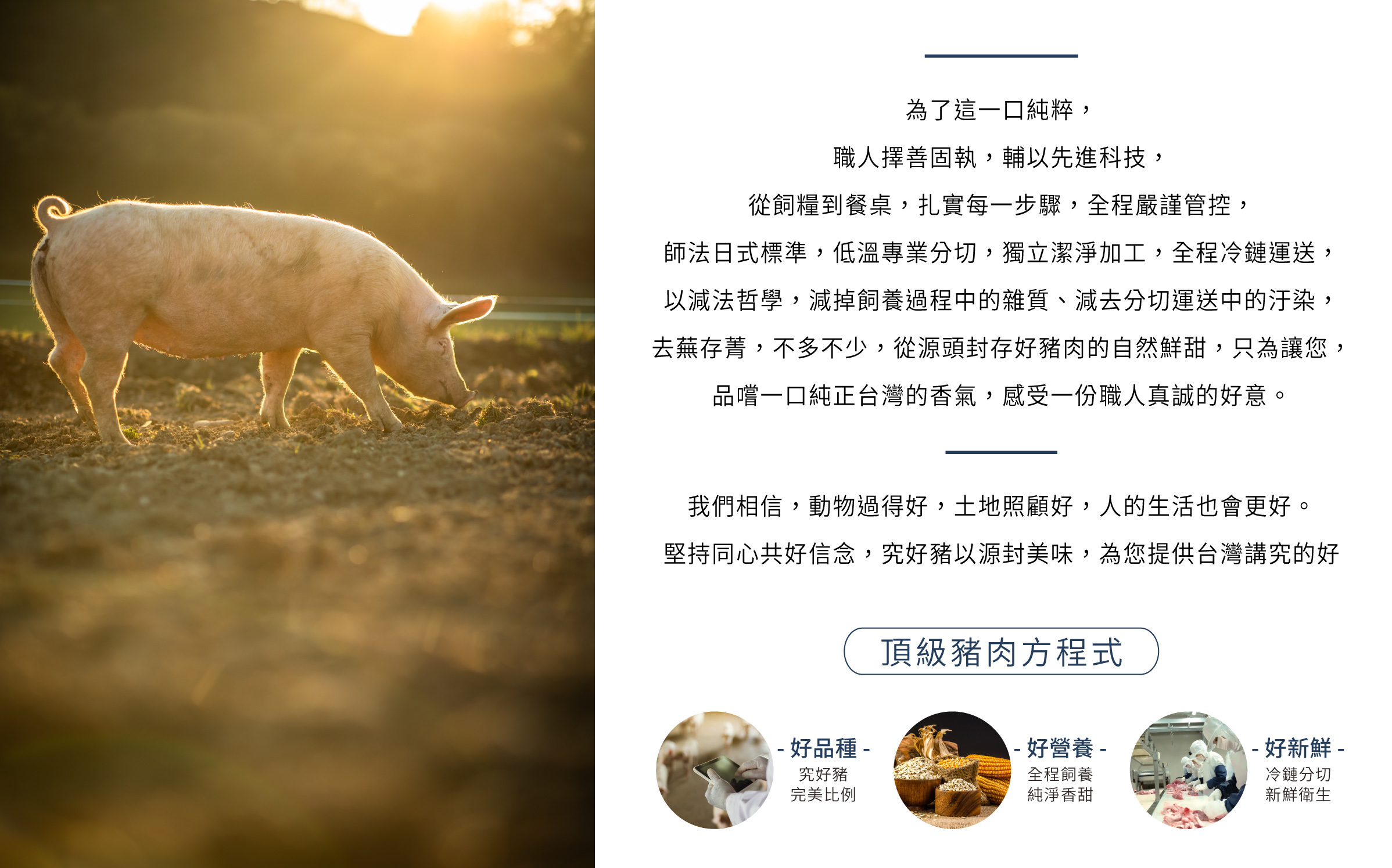 究好豬 - 必備美味快速調理品3入組（熟）-德式香腸200g/包、纖嫩豬排330g/包、香滷腱肉300g/包