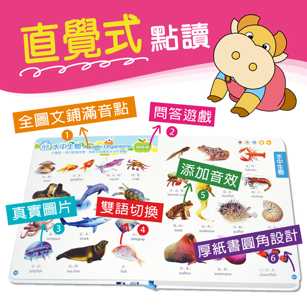 47件組-全腦開發點讀學習教材-盒裝（不含點讀筆）