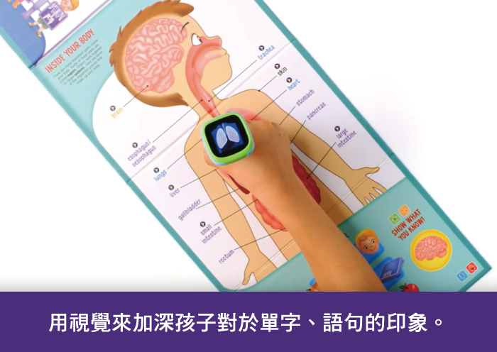 LeapFrog美國跳跳蛙 - 點讀ＧＯ粉色初學3D組-點讀ＧＯ粉／字母ABC／數數123／迪士尼冰雪奇緣-粉色