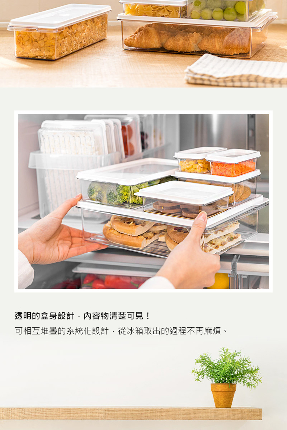 韓國昌信生活 - SENSE冰箱全系列收納盒-6號組-1000ml*2