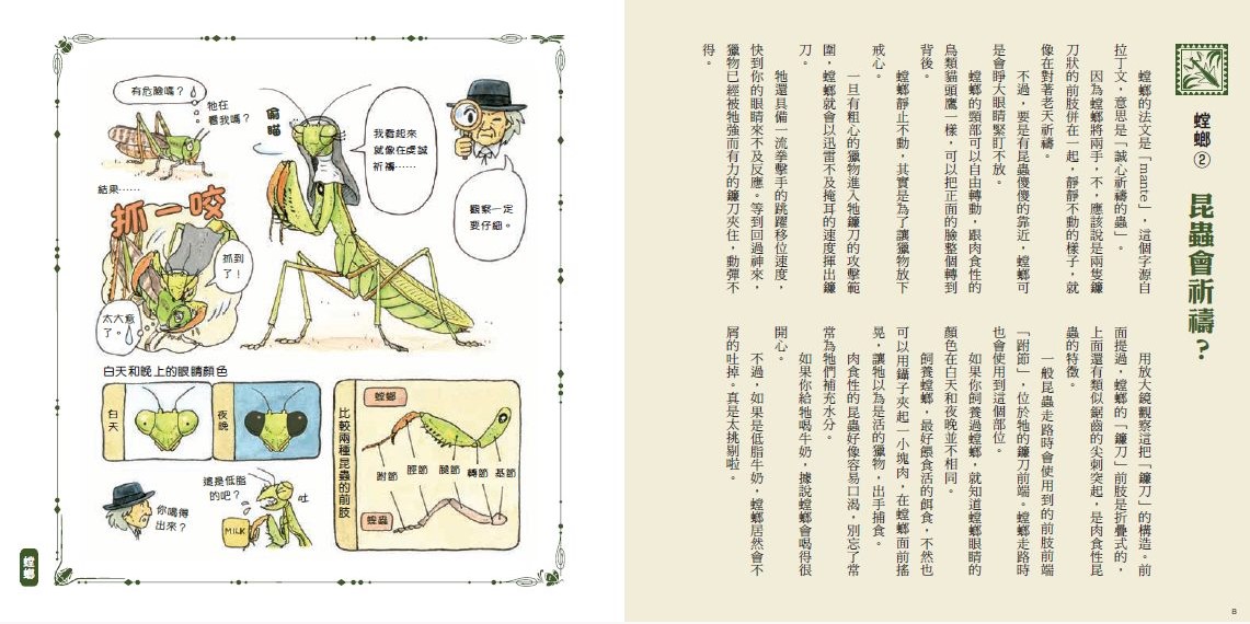 我的第一套法布爾老師的昆蟲教室（全套4冊）