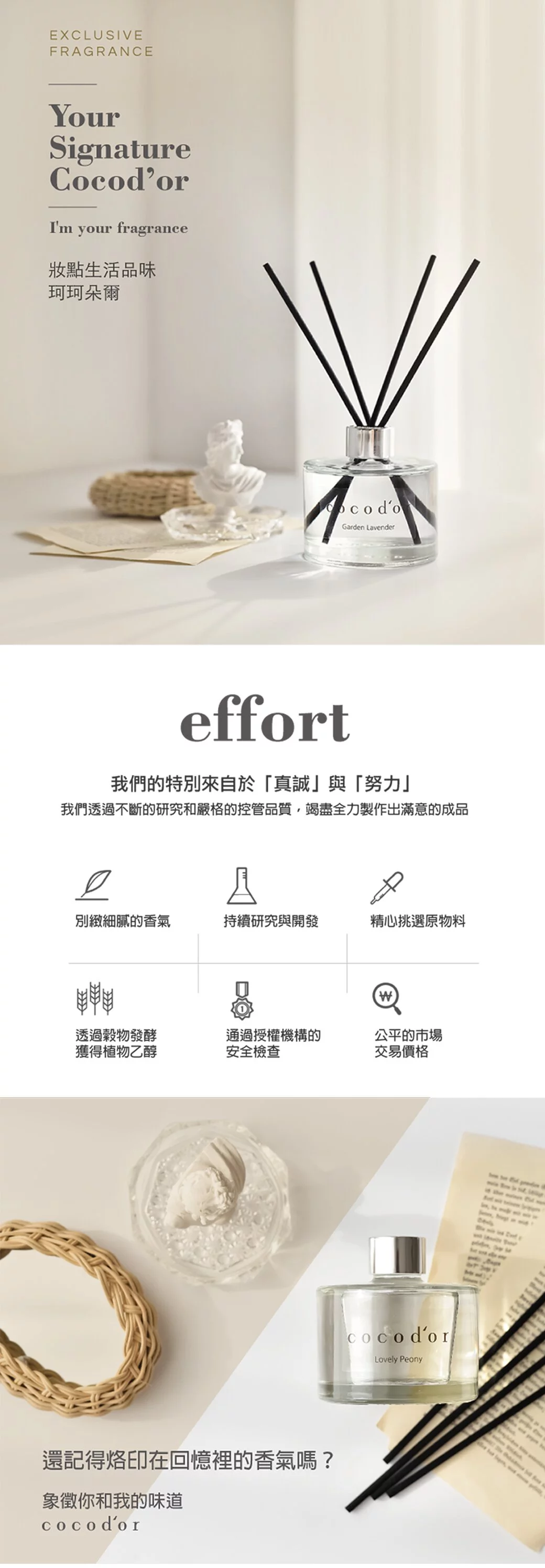 韓國 cocodor - 經典擴香瓶-黑櫻桃-200ml