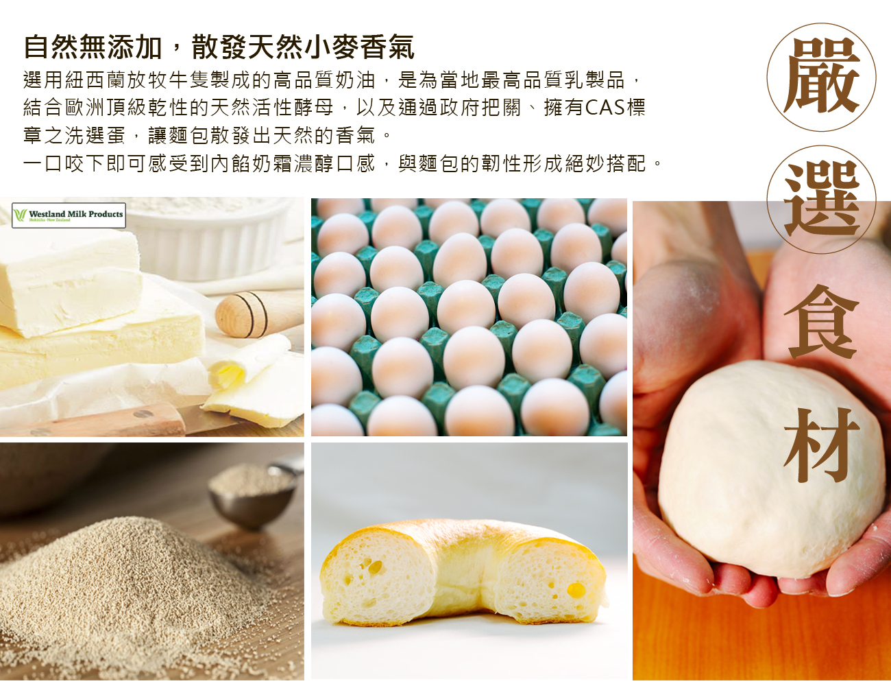 Golden Brown 布朗主廚 - 8入組-夏日繽紛組-蜜香芒果*1+ 芒果重乳酪*2+芒果奶奶*1+貝也納-經典奶糖*2+貝也納-咖啡核桃*2