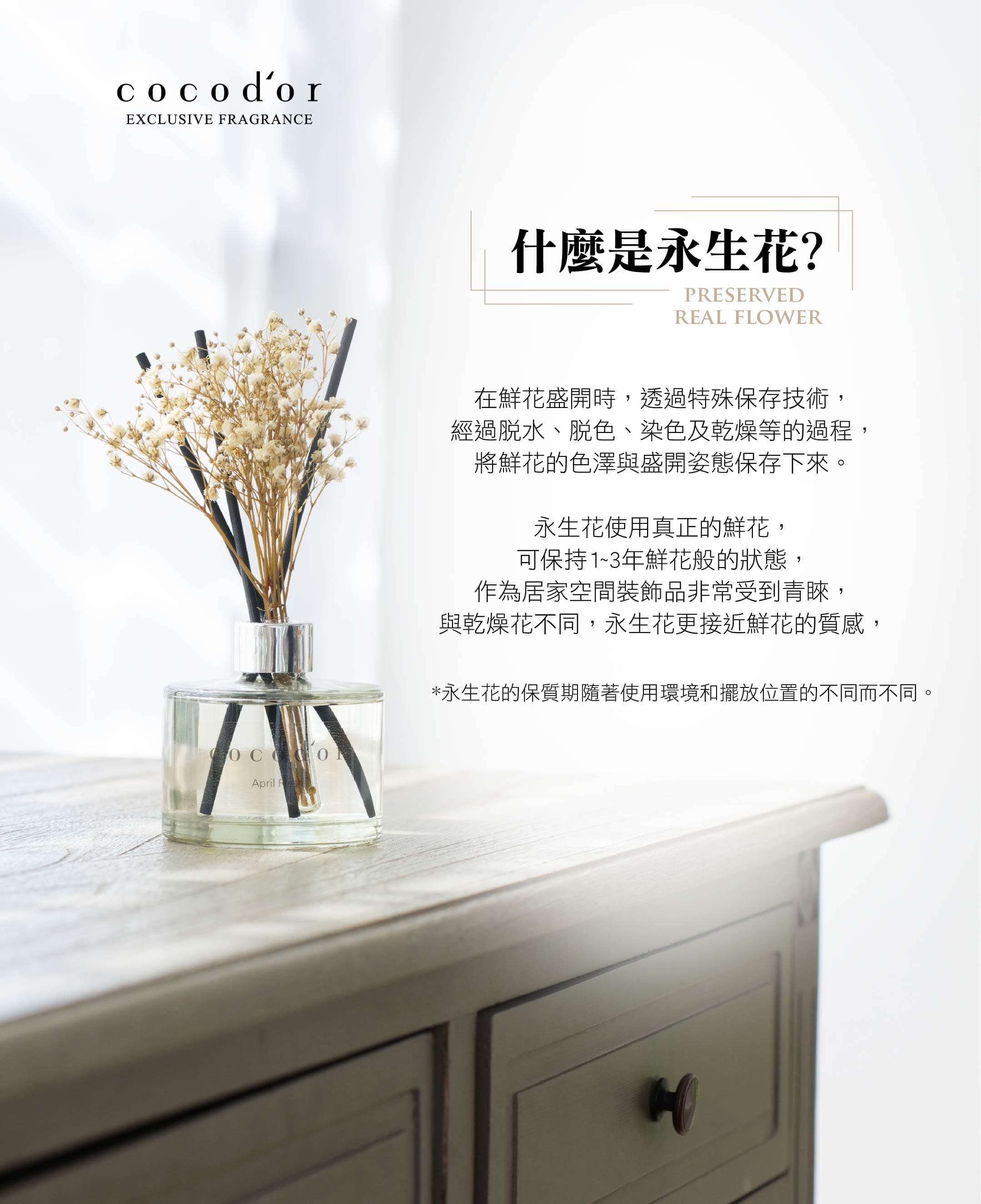 韓國 cocodor - 永生花擴香瓶-法國薰衣草-200ml