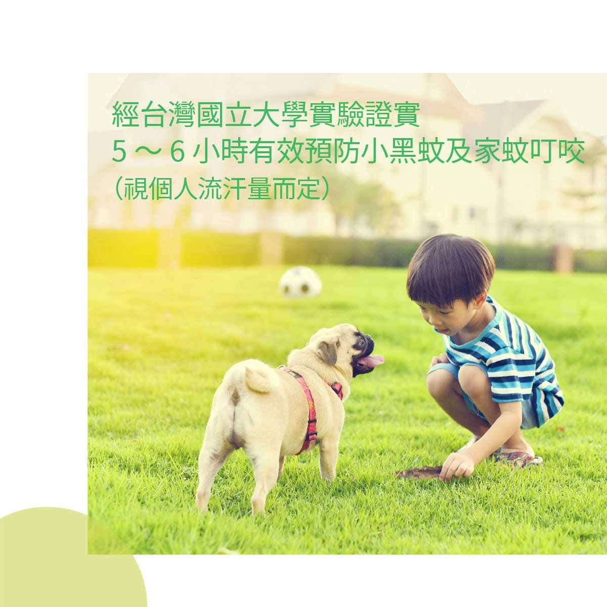 經台灣國立大學實證5～6小時有效預防小黑蚊、家蚊