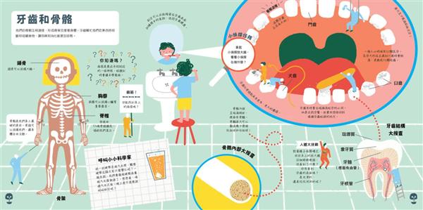 生態小偵探3：哇!人體原來這麼酷!(附生態小偵探放大鏡)