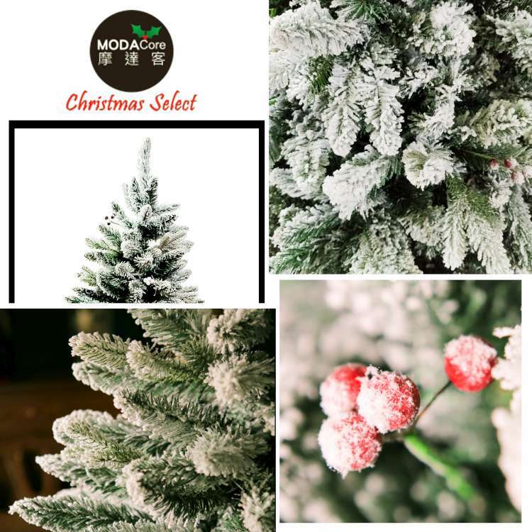 MODACore 摩達客 - 耶誕-4尺/4呎(120cm)頂級植雪擬真混合葉聖誕樹-裸樹(不含飾品不含燈)本島免運費