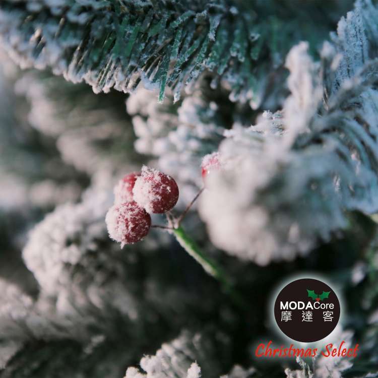MODACore 摩達客 - 耶誕-4尺/4呎(120cm)頂級植雪擬真混合葉聖誕樹-裸樹(不含飾品不含燈)本島免運費