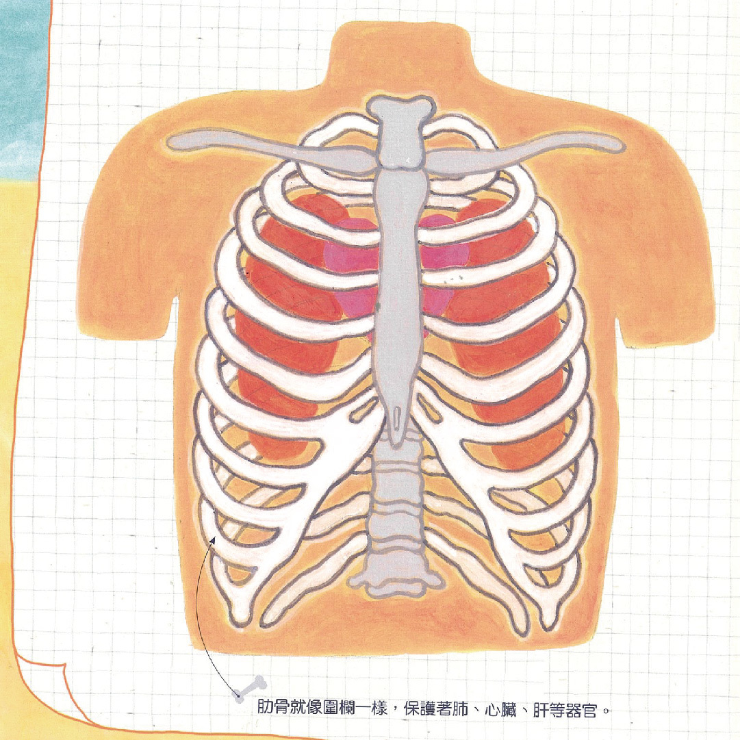 小牛津 - 【寶寶點讀自然繪本】大全套-共12冊(點讀版)-韓國授權精裝繪本-12冊收縮附點讀碼貼紙-精裝繪本12冊