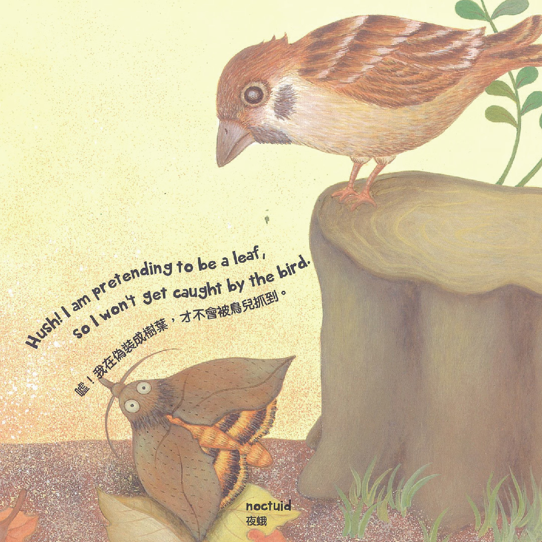 小牛津 - 【寶寶點讀自然繪本】大全套-共12冊(點讀版)-韓國授權精裝繪本-12冊收縮附點讀碼貼紙-精裝繪本12冊