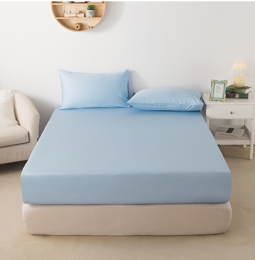 MIGRATORY 媚格德莉 - 60支三件式天絲床包枕套組-淺藍色 (加大(180x186cm))