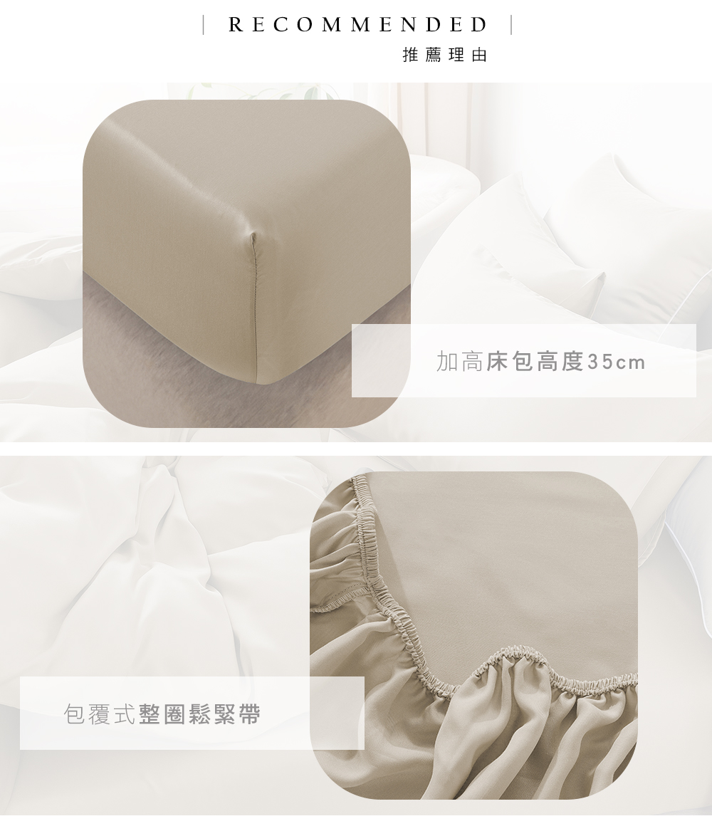 MIGRATORY 媚格德莉 - 60支三件式天絲床包枕套組-淺卡其色 (特大(180x210cm))