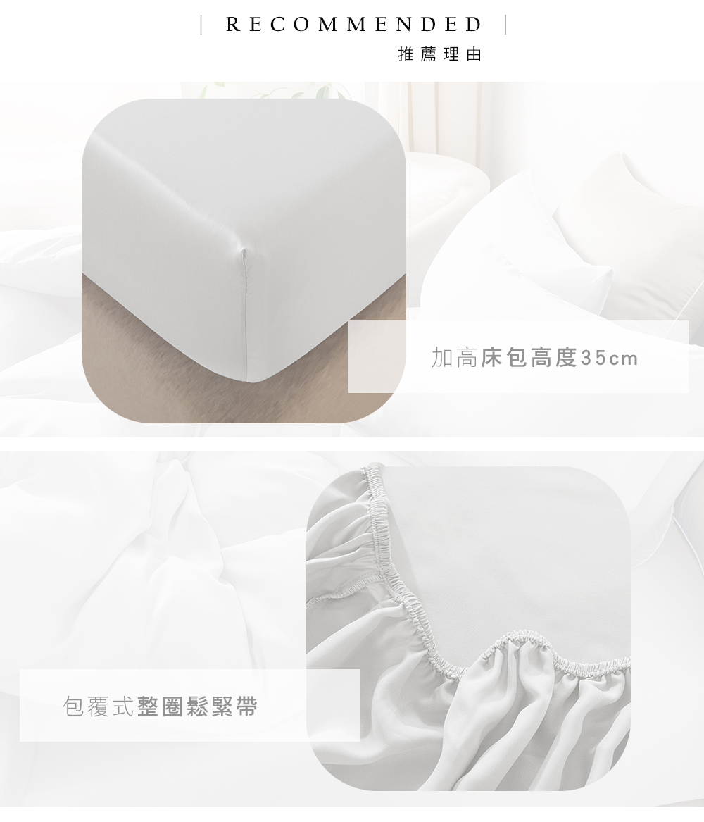 MIGRATORY 媚格德莉 - 60支三件式天絲床包枕套組-白色 (加大(180x186cm))