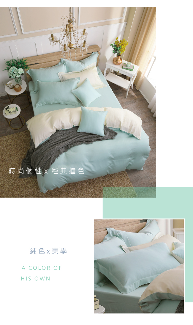 鴻宇 HongYew - 雙人加大床包枕套組/ 天絲300織 / 素色 天絲 萊賽爾-最好的里爾克