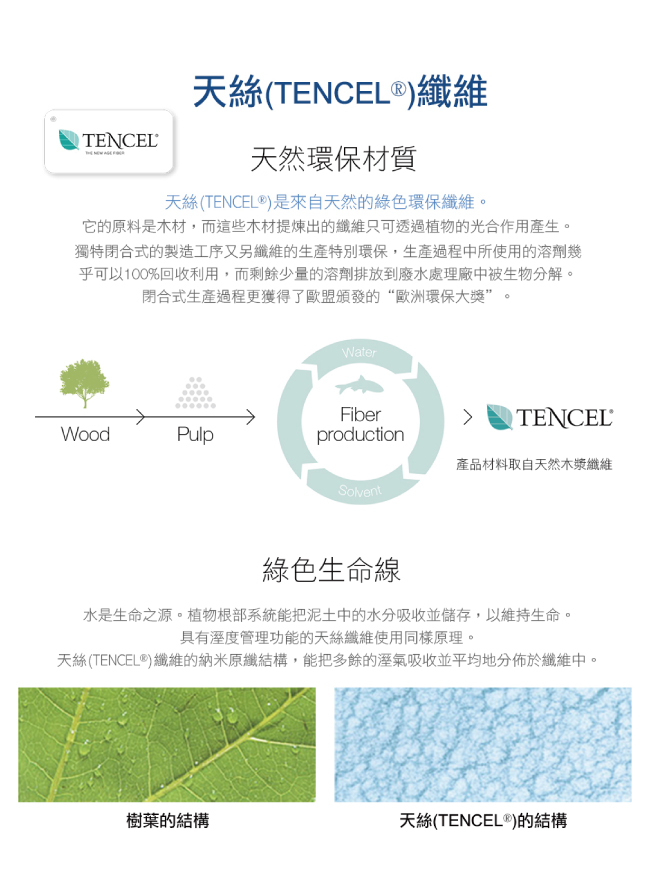 鴻宇 HongYew - 雙人加大床包枕套組/ 天絲300織 / 素色 天絲 萊賽爾-最好的里爾克