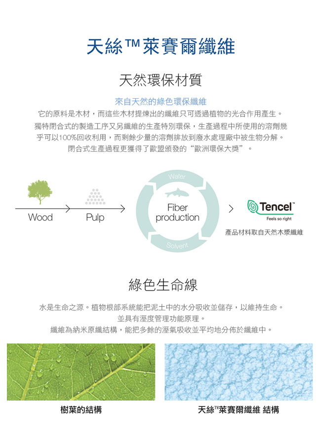 鴻宇 HongYew - 雙人加大床包枕套組/ 天絲300織 / 素色 天絲 萊賽爾-馬歇爾