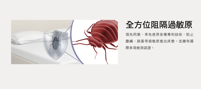 美國寢之堡 - 極細纖維全密封床墊套/全包式保潔墊-加大/ 25床高 (全密封拉鍊式床墊套6x6.2尺 (床墊厚度21-30cm以內適用))-182x190x25cm