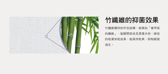 美國寢之堡 - 竹纖維全密封枕套-枕頭保潔墊 (全密封拉鍊式50x75cm以內適用)-50x75cm(2入)