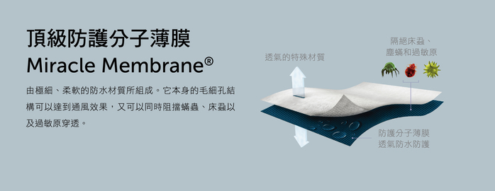 美國寢之堡 - 竹纖維全密封枕套-枕頭保潔墊 (全密封拉鍊式50x75cm以內適用)-50x75cm(2入)
