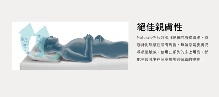 美國寢之堡 - 竹纖維全密封枕套-枕頭保潔墊 (全密封拉鍊式50x75cm以內適用)-50x75cm(2入)