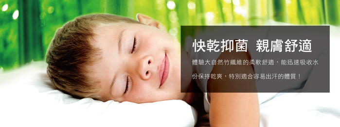 美國寢之堡 - 竹纖維全密封枕套-枕頭保潔墊 (全密封拉鍊式50x75cm以內適用)-50x75cm(2入)