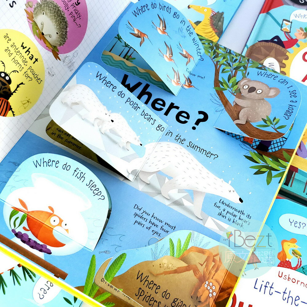 Usborne Lift-the-flap Question And Answers Box Set(5 Books) | 翻翻書 | 機關 | 進口 | 原文 | 恐龍 | 食物 | 身體 | 時間 | 動物 | 套書 | 9